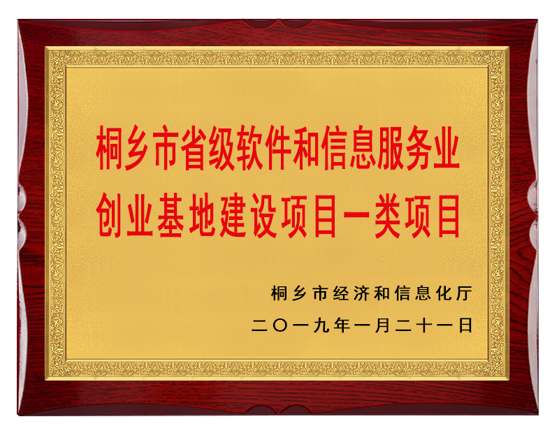 桐乡市省级软件和信息服务业创业基地建设项目一类项目