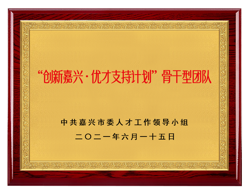 “创新嘉兴·优才支持计划”骨干型团队
