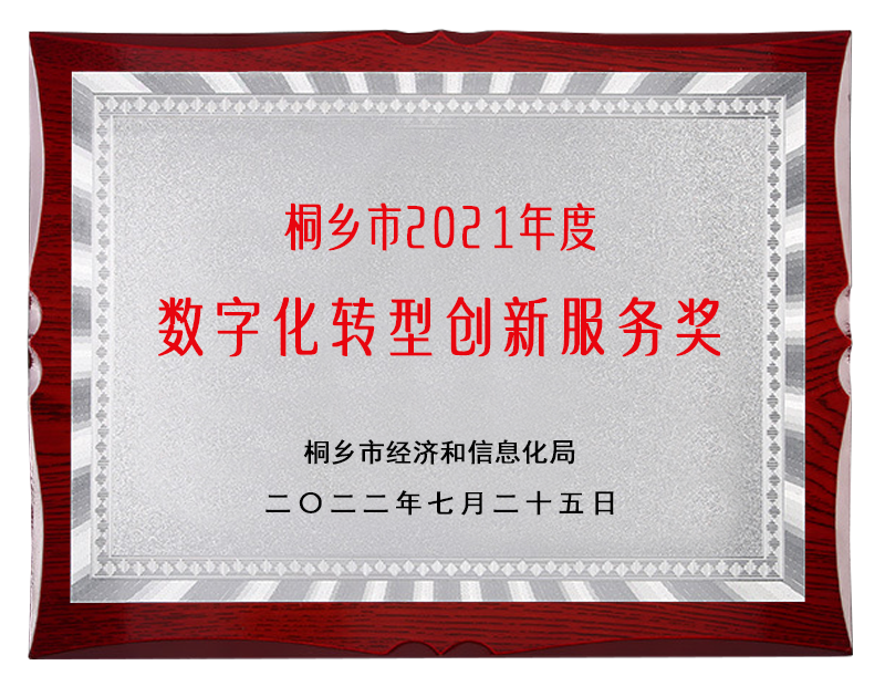 数字化转型创新服务奖